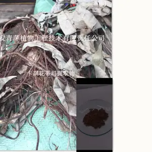 供应卡琪花蒂玛提取物5:1