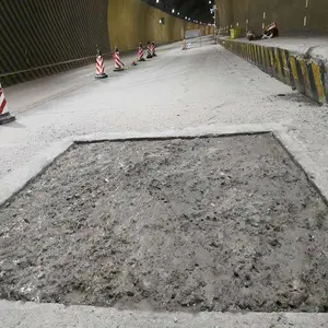 ������ũ�ܹ�ԭԭ�ݾۺ���ˮ��������Ϲ�ԭ����ˮ�ཬ���ڵ����ҷ�ˮ������
