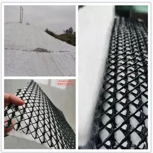 生产基地 三维复合排水网5mm6mm 全国直供三维复合排水网6.3mm