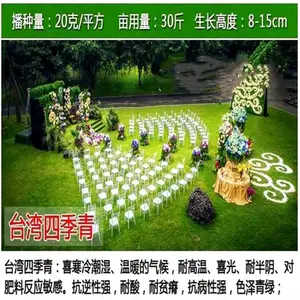 山西运城常青护坡草种种子企业批发波斯菊草种籽