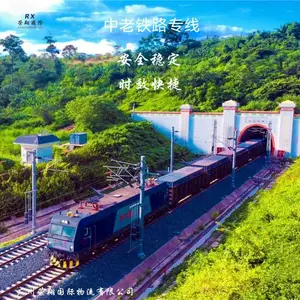 云南到老挝铁路专线 荣翔中老铁路货运 铁路运输到万象时效快