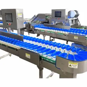 智能高精度食品重量分选系统 适配标准化深加工产线