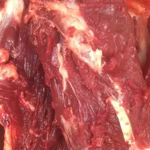批发零售鲜驴肉新鲜驴后腿肉带皮鲜驴肉营养健康