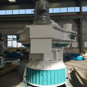 ����ľм������ ��ĩ���ǿ��������� ��������