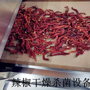 微波干燥杀菌烘干设备 微波干燥机连续隧道式杀菌设备 烘干设备