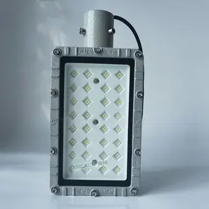 ����LED����Ͷ��� ����100W200W300W���η������YMD-A