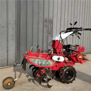 ��¢ʩ�ʿ����� �๦���͹�԰����ʩ�ʸ����� ��Ǿ���ֲ����������
