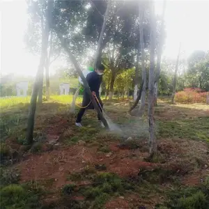 武汉白蚁***-好嘉白蚁***中心-树木白蚁***