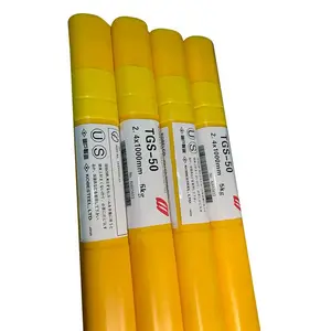 �ձ����Ƹ�NC-39 E309-16����ֵ纸����