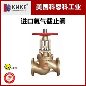 进口氧气截止阀 法兰连接密封出色 美国科恩科KNKE品牌