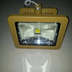 加油站专用led防爆灯/新款厂用防爆加油站灯/70Wled防爆应急灯