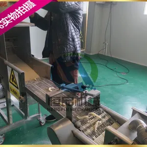 加工鸡柳条的整套流水线 全自动上浆机价格 全自动鸡柳条油炸生产线