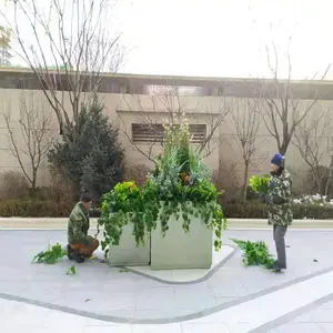 װ���÷��滨���� ���Ǹ߷�����ֲ�� Ծ�ܷ���ֲ��