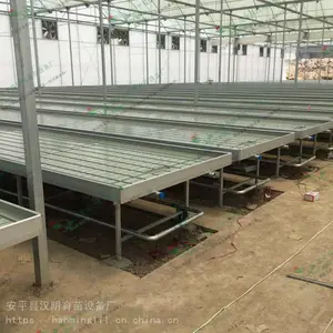 汉明潮汐式移动苗床-成熟的农业灌溉技术-新品