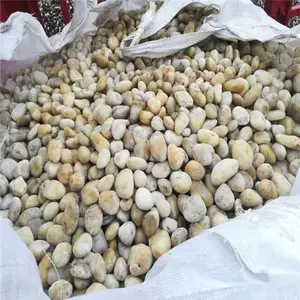 机制鹅卵石厂家 各种规格天然鹅卵石荣茂质量好价格低