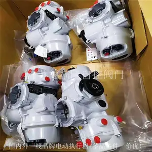 IQM25F14Z 英国罗托克执行机构 完全防水可防尘 终身密封