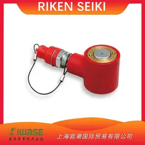 RIKEN SEIKKI���Ҿ��� R1-30VCҺѹ���͸�100kN�ص�ʽǧ�ﶥ