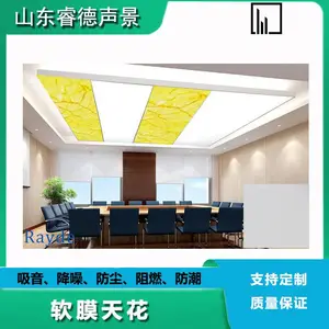 rayde ¼������ѧ��� ¼���ﲥ������������ɢ���������� ֧�ֶ���