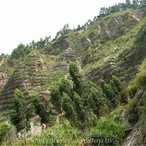 矿山边坡冒顶怎么配比草籽山西专门销售
