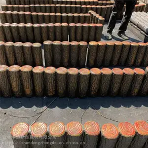 ��ľˮ����׮ʯ ˮ��Բ�η�ľ׮Χ������ֱ��