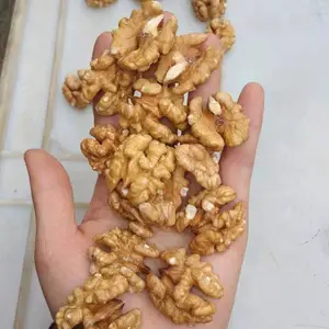 �����ʳ��ڹ�Ӧ���� �㽭���ں��ҳ��ڹ���