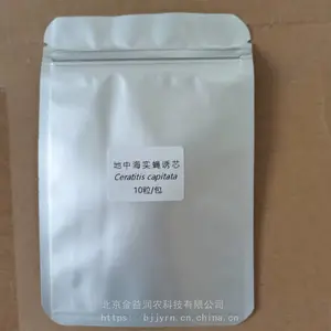 ���к�ʵӬ ��о �ղ��� �ռ�