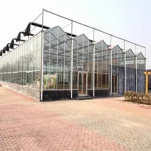 ƽ����ֲ���ﶨ�� �����������ҳ��� ����Ч���� ³��