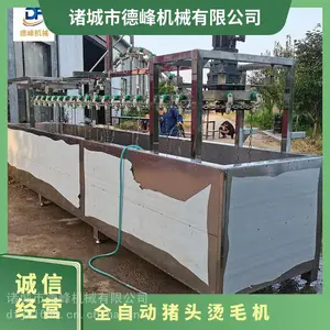 在线连续猪头烫毛机 恒温型烫池 挂头型牛羊猪头均可用 德峰