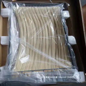 美能MBR膜组件SMM-1525，中空纤维MBR膜生活污水处理成套设备