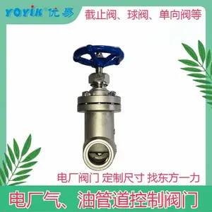 ��ֹ��WJ10F1.6P DN10 ����ʽ �͸������� YOYIK