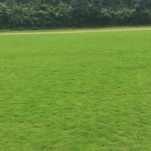��������Ƥ ������������ƺ ��������Ƥ����