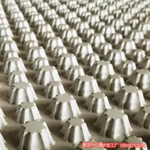 广东绿化防护排水板 规格齐全 置顶厂商直销 可定制
