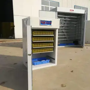 供应养殖场全自动大型智能家用养殖小型zn-528syj三用孵化机