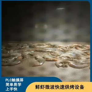 磊沐 虾干微波干燥设备手撕鱿鱼微波杀菌设备 传送带式烘烤