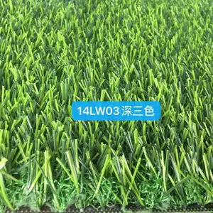 不用浇水的四季绿意