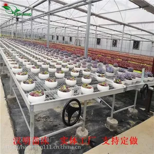专家好评移动苗床厂家-专注温室苗床生产10年-河北汉明