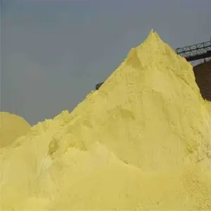 ���� ��ïũ����Ƿ� ���� �������� ����������Ƿ۶���Ǯһ��