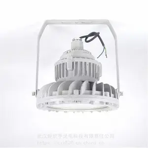 LED������GB206-L50 ����LED���ܵ� ��ˮ��������LED��