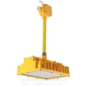 天车作业投光灯ZY-2079-400W 户外LED投光灯 IP66 200W AC220v