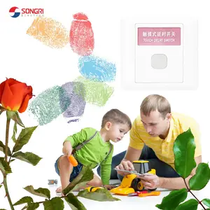 �Ϻ����գ�SONGRI��������ʱ������� 86�Ͱ�װ¥����ʱ���ش����� ��ָ�����缫����