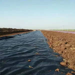 ��˿����һĤ������4-6m������������Ĥ�ӵ����¸�������Ĥ