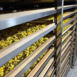 升温型除湿机 茶叶库房仓库水性漆 油漆烘干房抽湿器