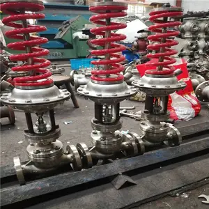 ����ѹ����ѹ�� ZZYP-16B/K ���ֵ��ɱ�Ĥʽѹ����ѹ�� ��ѹ�� ZZYP-16C DN20