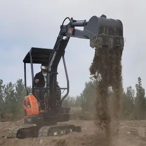 进口20小型履带挖掘机价格 蜜柚园迷你小挖机多少钱一台