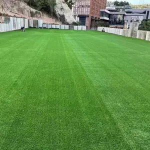 ����ֲ��ǽ��ֲǽ���ϼٲ�ƺ����ǽ�ȼ�����ͷ���ڵ��л�ǽװ��