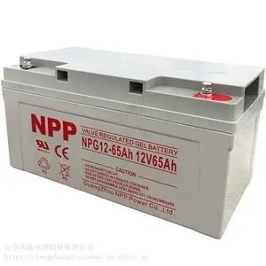NPP��������NPG12-65 12V65AH ��ѹ����ֱ����Ӧ�������͵�ƿ