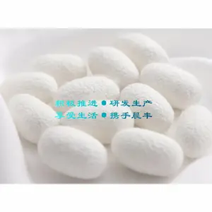 晨丰纺织 生产 蚕蛹蛋白纤维纱线 滑爽如真丝 柔软似羊绒 富含氨基酸