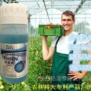 ��̩�� �Ǵ��� ����� �Ʒ� ̩ɭ��̩�� ���ѸƷ� ƻ���Ʒ� ����