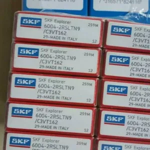 6005-2RSLTN9/HC5C3WT���