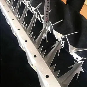 ��п��Ŵ̶� С��Ժǽ�����̶� ��������������